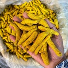 A person holding out a handful of turmeric sticks, showcasing their quality and rich color.