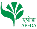 APEDA Logo