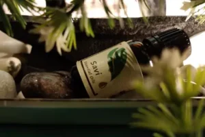 a bottle of savi essential oil resting sideways on round rocks with small plants.