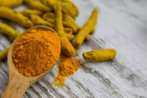wooden spoon full of turmeric powder with whole turmeric sticks spreaded out on a table.